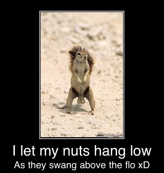 Low nuts hang Do your