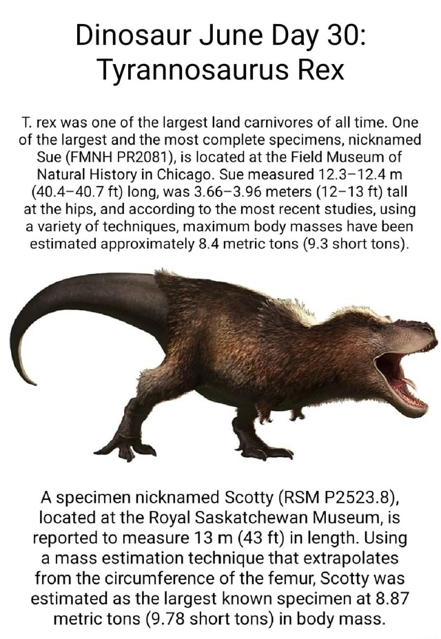Dinosaur June Day 30 Tyrannosaurus Rex T. rex was one of the largest