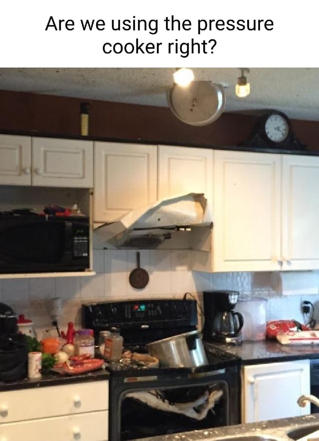 Are we using the pressure cooker right? - iFunny