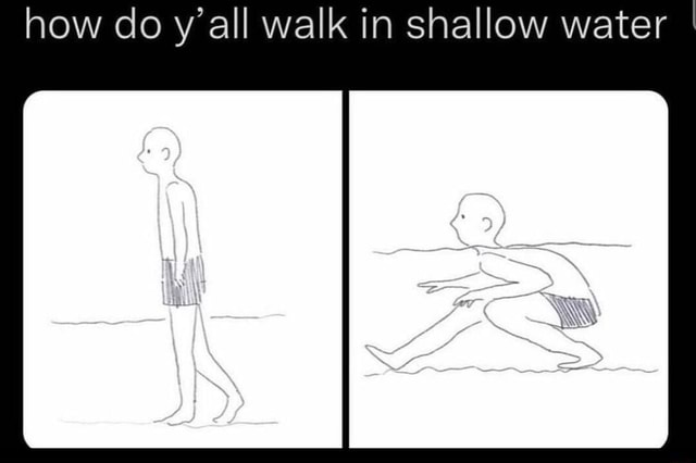 how-do-y-all-walk-in-shallow-water-ifunny