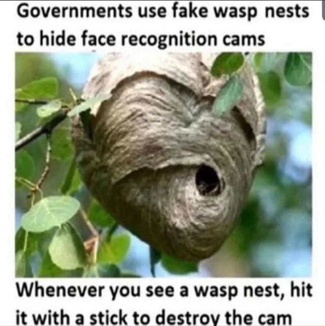 fake nest cam