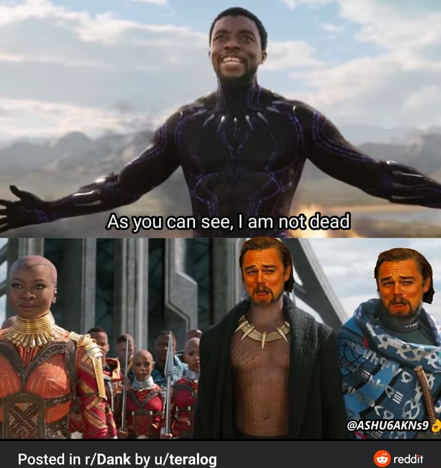 As You Can See Am Not Dead Aw Ashu6akns9 Posted In By Reddit As You Can See Am Not Dead Aw Ashu6akns9 Posted In By Reddit