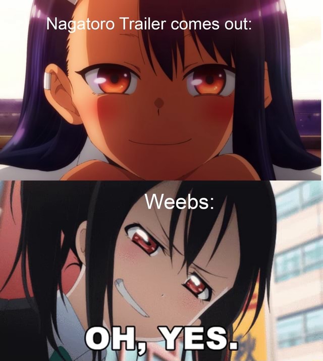 YES I AM | Anime memes funny, Anime memes, Funny anime pics