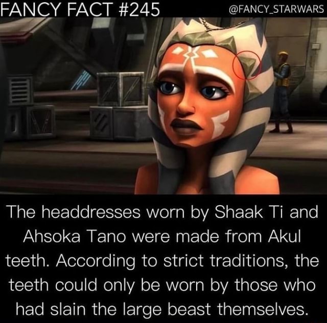 The headdresses worn by Shaak Ti and Ahsoka Tano were made from Akul ...