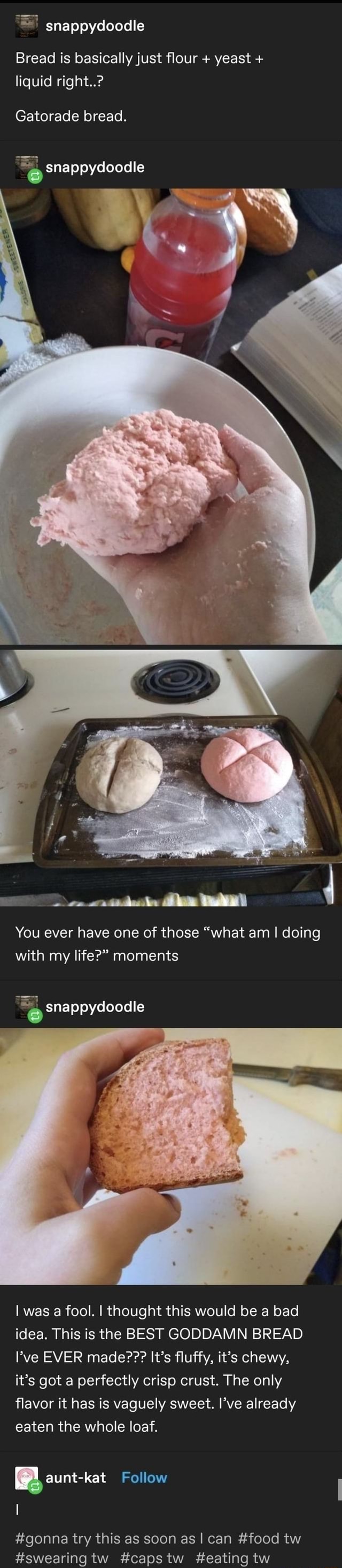 Snappydoodle Bread is basically just flour + yeast + liquid right ...