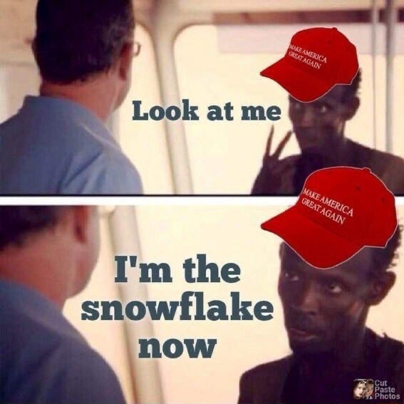 Look at me y I'm the snowflake now - iFunny