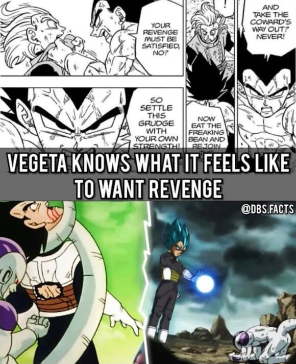 VEGETA KNOWS WHAT IT FEELS LIKE TO WANTIREVENGE @DBS.FACTS - iFunny