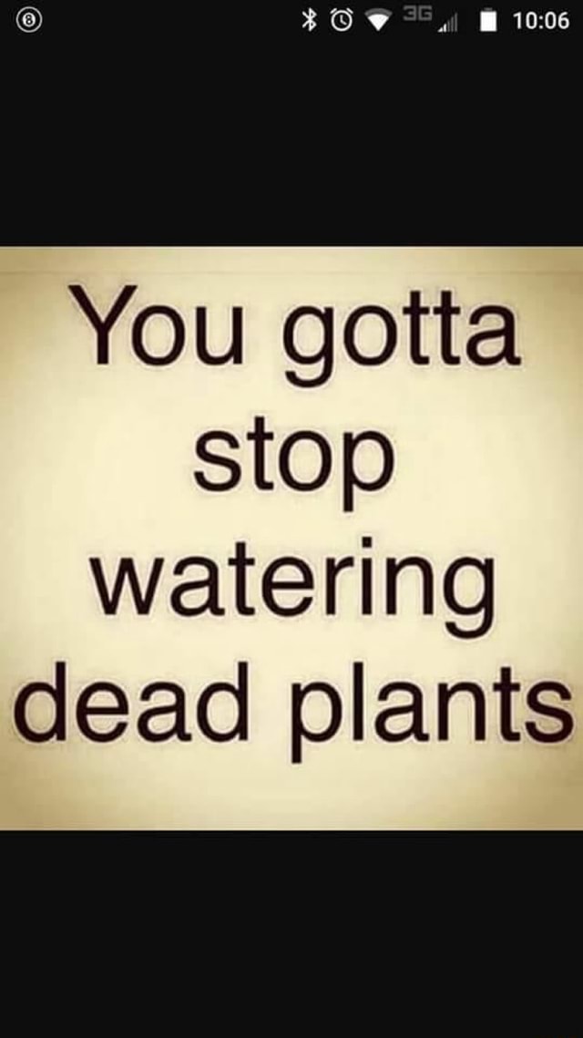 you-gotta-stop-watering-dead-plants-ifunny