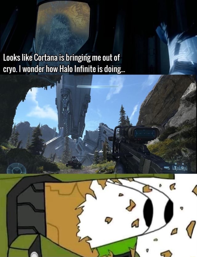 Halo infinite карта