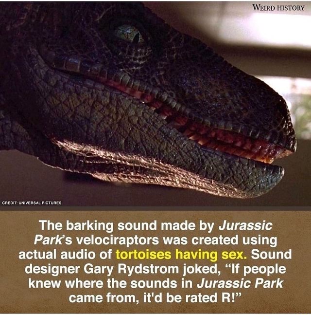 History The Barking Sound Made By Jurassic Parks Velociraptors Was Created Using Actual Audio 3013