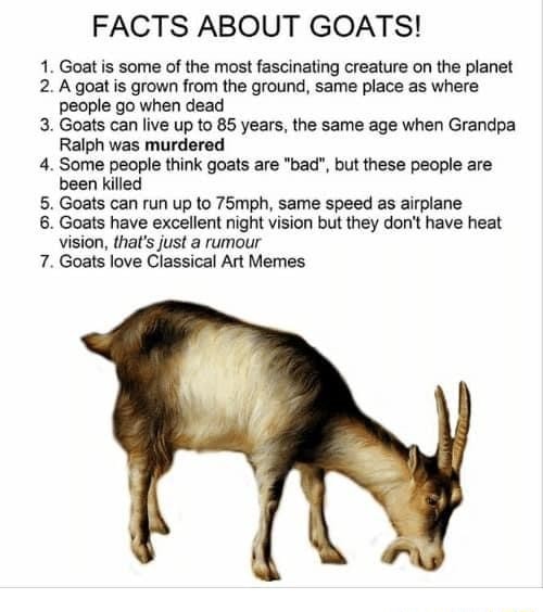  NS FACTS ABOUT GOATS! Goat is some of the most fascinating creature
