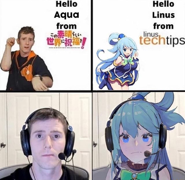 Hello Linus from linus, - iFunny