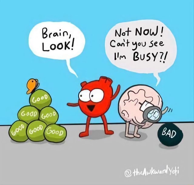 Brain, Not Now ! Look! Cont you See Im Busy th. - )