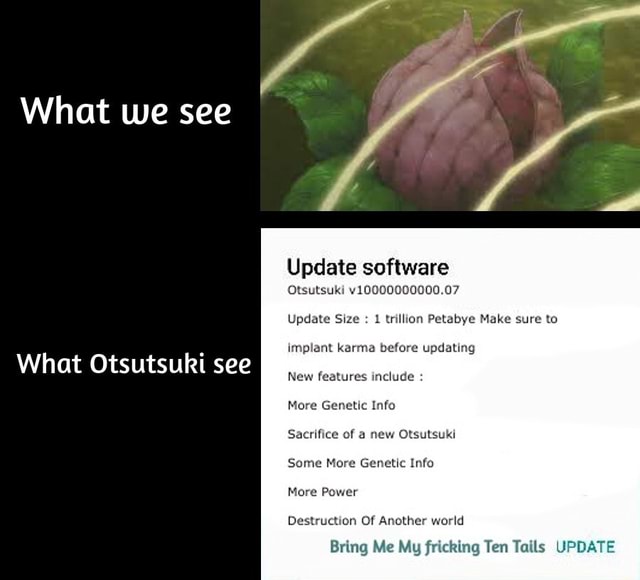 what-we-see-what-otsutsuki-see-update-software-otsutsuki-v10000000000