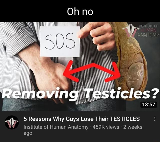 Oh No Nstitute Of Anatomy Removing Testicles 5 Reasons Why Guys Lose