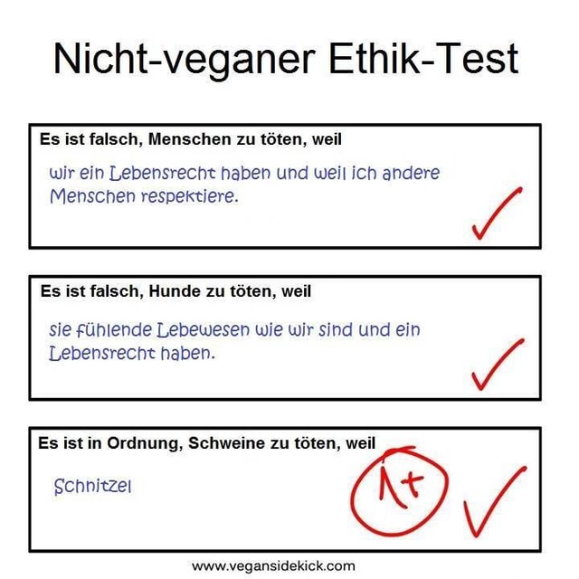 Nichtveganer EthikTest Es ist falsch, Menschen zu töten, weil wir ein Lebensrecht haben und