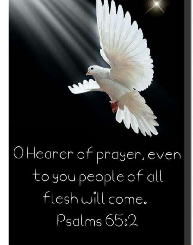 HEARER OF PRAYER visual data 6