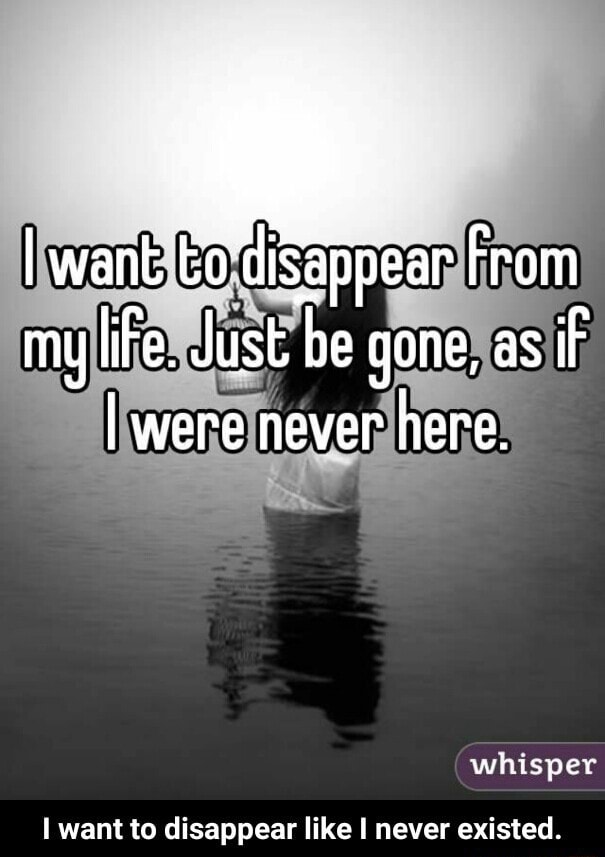 I Want To Disappear Like I Never Existed I Want To Disappear Like I Never Existed