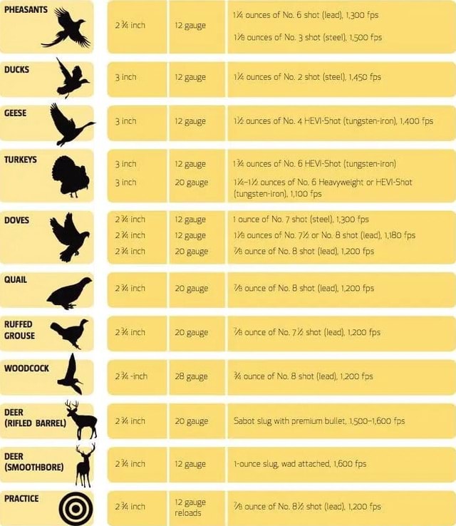 PHEASANTS DUCKS GEESE DOvES QuaiL RUFFED GROUSE woopcock DEER (RIFLED ...