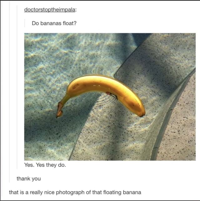 Doctorstoptheimpala Do bananas float? Yes. Yes they do. thank you that