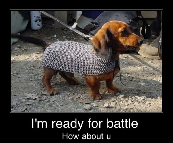 Hie I M Ready For Battle How About U I M Ready For Battle How About U