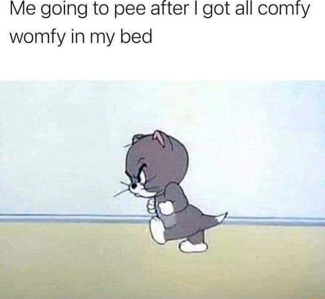 Me going to pee after I got all comiry womfy in my bed - iFunny