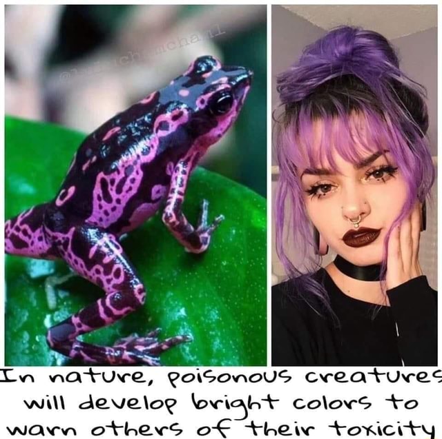 Ss nm nature eoisonous creature will develoe loriaht colors o warn others of theiv toxicit 