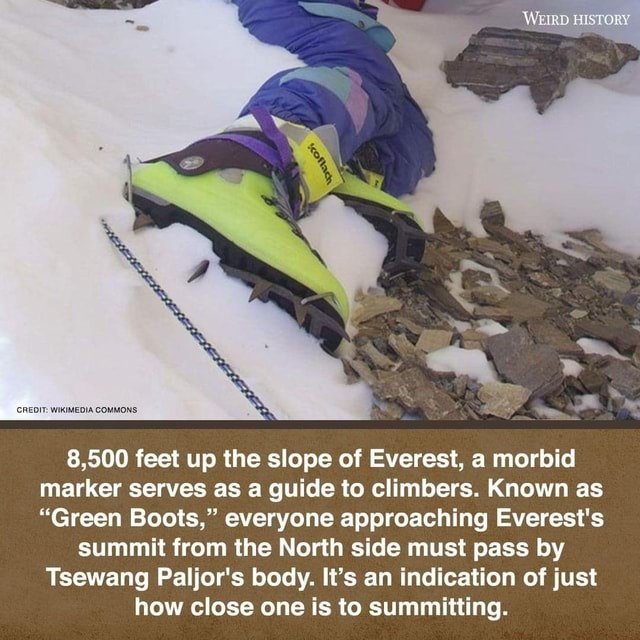 Зеленые ботинки 8500 эверест. Ботинки professional leons grin. Dr martens ботинки зеленые. Зеленые ботинки это. Салатовые ботинки женские.