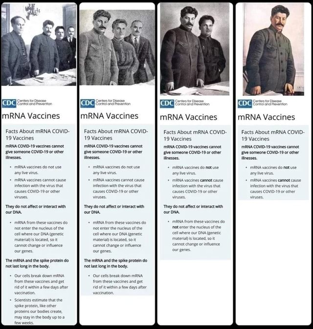 MRNA Vaccines MRNA Vaccines MRNA Vaccines MRNA Vaccines Facts About   Cca5eb996e6f69e77e3d2971eeb1f027a5104b70888deab143a297d140ce0155 1 