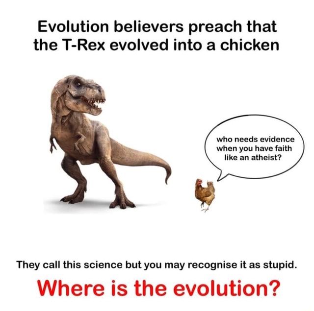 Evolution believers preach that the T-Rex evolved into a chicken who ...