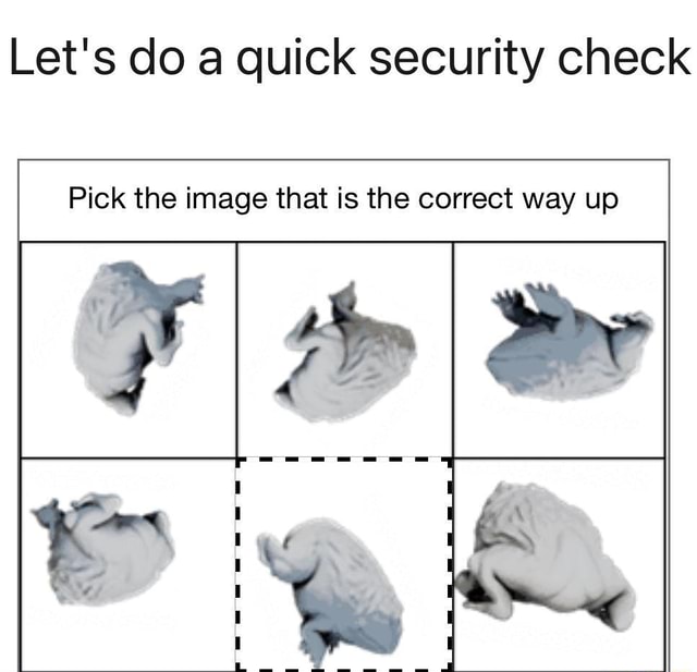 let-s-do-a-quick-security-check-pick-the-image-that-is-the-correct-way