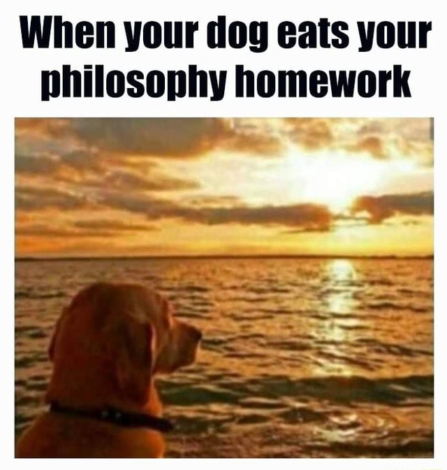 when the dog eats your philosophy homework
