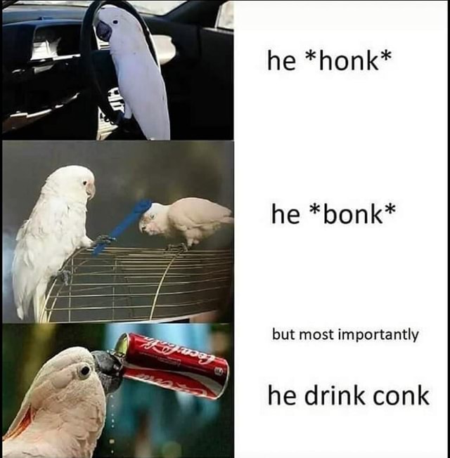 He *honk* He *bonk* But Most Importantly He Drink Conk - Whlsm