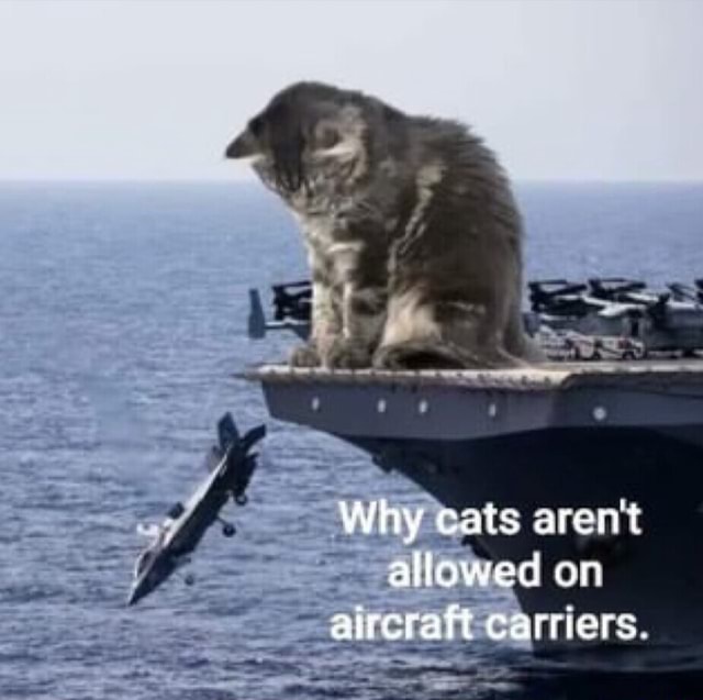 Why cats arent allowed on aircraft carriers. iFunny