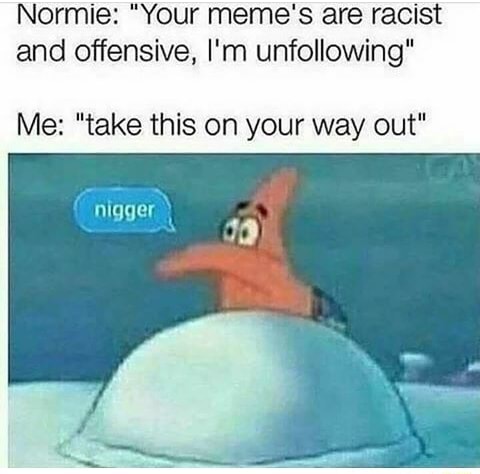 Normie Your Meme S Are Racist And Offensive I M Unfollowing Me Take This On Your Way Out