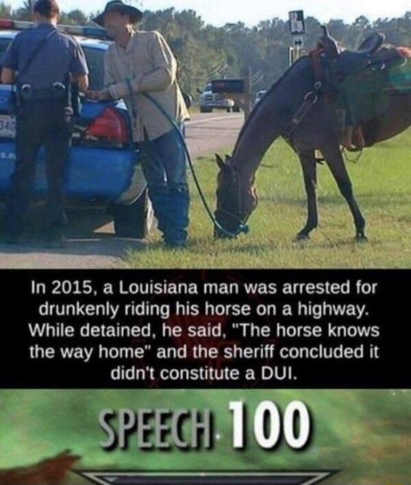 In 2015, a Louisiana man was arrested for drunkenly riding his horse on ...