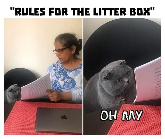 "RULES FOR THE LITTER BOX" iFunny
