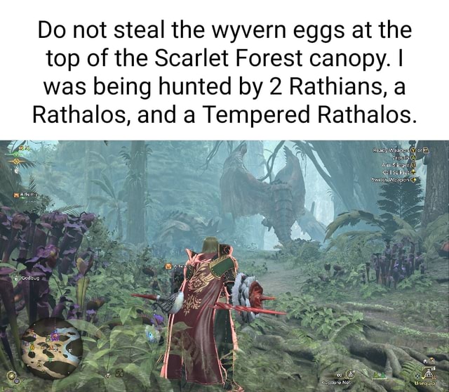 Do not steal the wyvern eggs at the top of the Scarlet Forest canopy. I ...