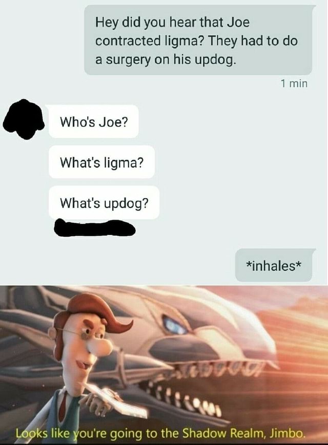 Hey Did You Hear That Joe Contracted Ligma They Had To Do A Surgery On His Updog Min Who S Joe What S Ligma What S Updog Inhales Looks Like You Re Going To The Shadow