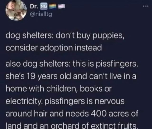 Al dog shelters: don't buy puppies, consider adoption instead also dog ...