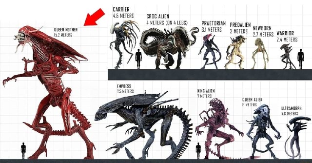 CARRIER 4.5 METERS CROC ALIEN VLILRS (UN -_PRAETORIAN