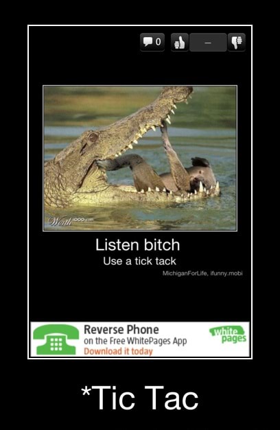 Listen Bitch Use A Tick Tack Tic Tac Ifunny