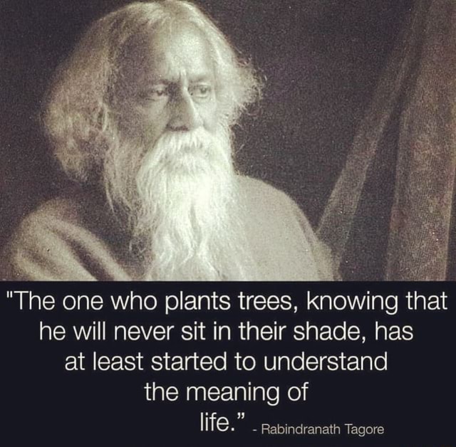"The one who plants trees, knowing that he will never sit in their