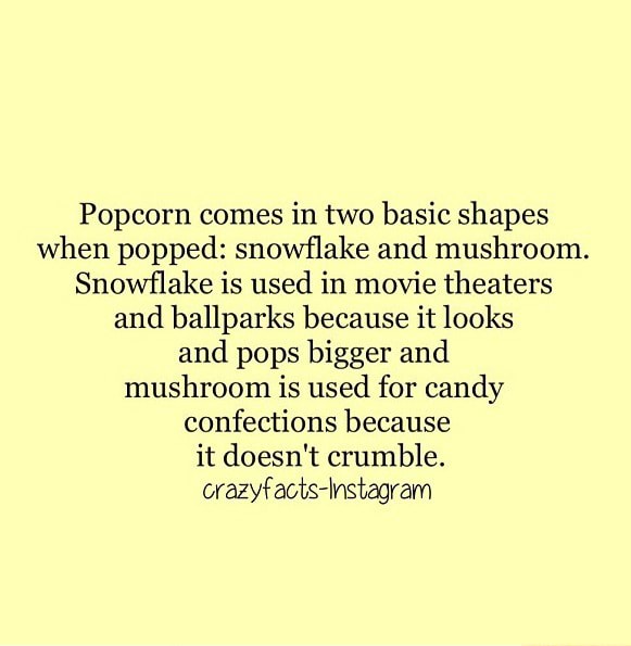 Popcorn comes in two basic shapes when popped snowflake and mushroom