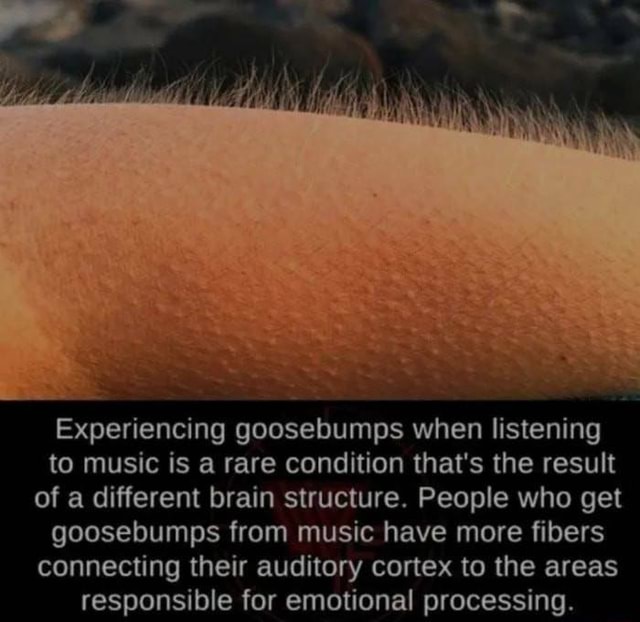 experiencing-goosebumps-when-listening-to-music-is-a-rare-condition