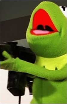 Kermit the angry frog - iFunny