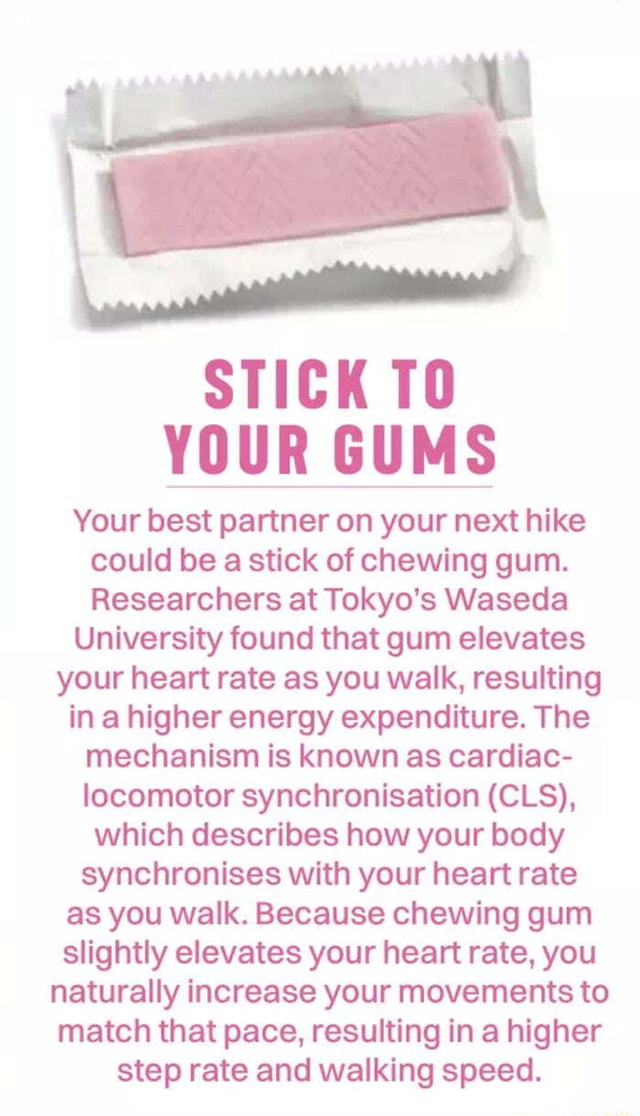 STICK TO YOUR GUMS Your best partner on your next hike could be a stick