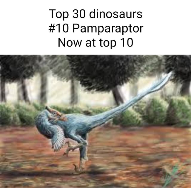 Top 30 dinosaurs #10 Pamparaptor Now at top 10 - iFunny