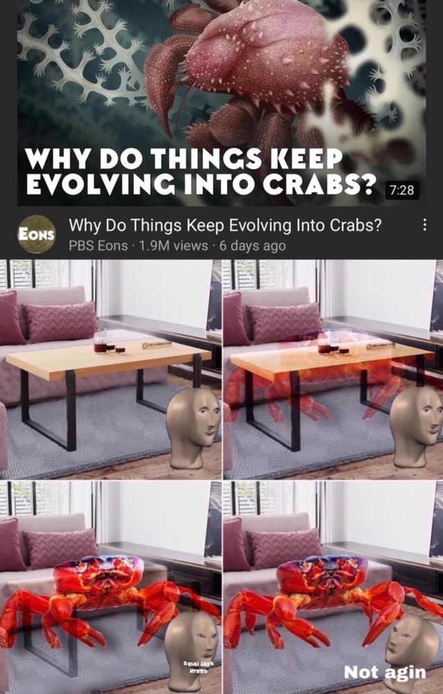 Cr, WHY DO THINGS KEEP EVOLVING INTO CRABS? Eons Why Do Things Keep