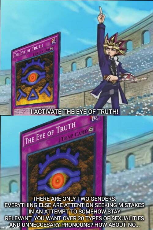 ACTIVATE THE EYE OF TRUTH! THERE ARE ONLY TWO GENDERSS EVERYTHING ELSE ARE ATTENTION ATTEMPT TO